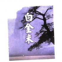 白金米及圖