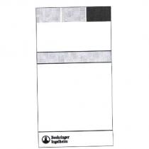 BOEHRINGER INGELHEIM PACKUNGSBILD RX 2012 <FIG>