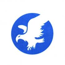 望隼科技股份有限公司標章