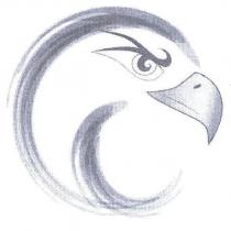 金鷹圖