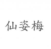 仙姿梅