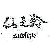 仙之羚 ANTELOPE 