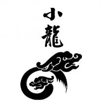 小龍及圖