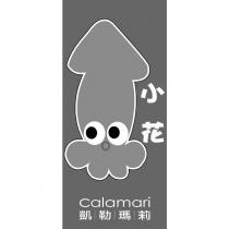 小花凱勒瑪莉 Calamari 及圖