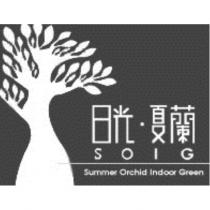 日光 ̇夏蘭 SOIG Summer Orchid Indoor Green 及圖