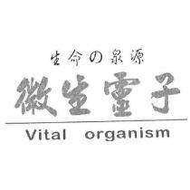 生命の泉源 微生靈子 Vital Organism 及圖
