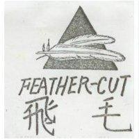 飛毛 FEATHER-CUT
