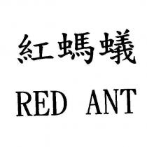 紅螞蟻 RED ANT
