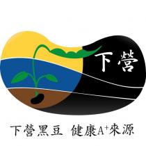 下營黑豆 健康 A+來源及圖