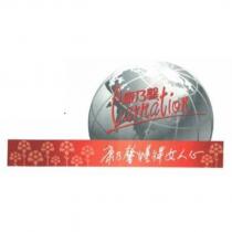 康乃馨 Carnation 康乃馨懂得女人心及圖