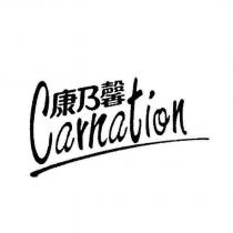 康乃馨 Carnation