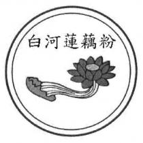 白河蓮藕粉及圖
