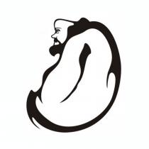 達摩設計圖