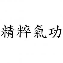 精粹氣功
