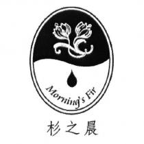 杉之晨 Morning's Fir 及圖