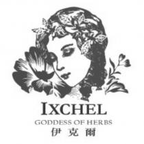 伊克爾 IXCHEL GODDESS OF HERBS 及圖