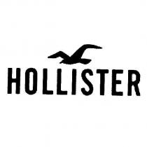 HOLLISTER & SEAGULL Design
