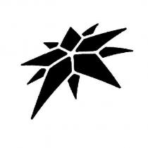 深圳市恒星珠寶有限公司標章