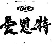 愛恩特 INT 