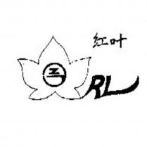 紅葉 RL 及圖