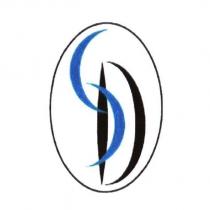 DS 的設計圖