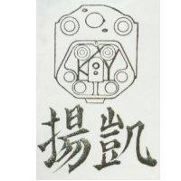 凱揚及圖