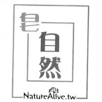 皂回自然設計圖