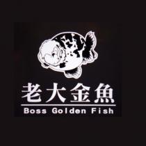 老大金魚 BOSS GOLDEN FISH 及圖