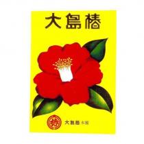 大島椿及圖