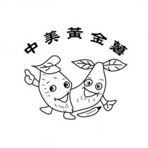 中美黃金薯及圖