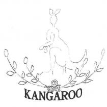 kANGAROO 及圖
