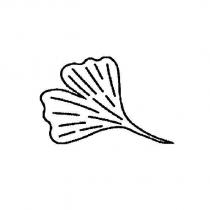 ginkgo leaf logo