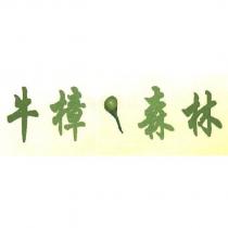 牛樟森林及圖