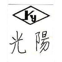 光陽 YY 及圖 
