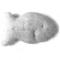 Configuration: GOLDFISH 2