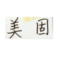 美固