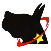 衛星犬設計圖