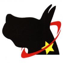 衛星犬設計圖