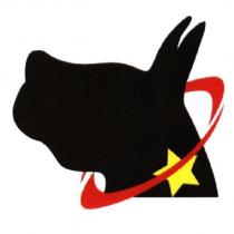 衛星犬設計圖