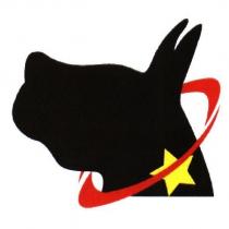 衛星犬設計圖