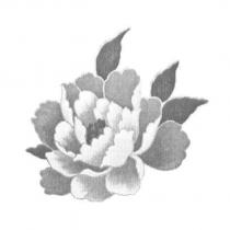 花形圖