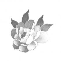 花形圖