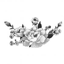 花形圖