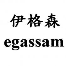 伊格森 egassam
