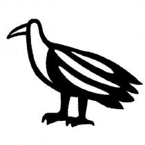 鳥設計圖