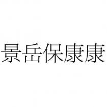 景岳保康康