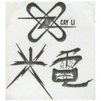 光電及圖 CAY LI