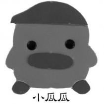 小瓜瓜及圖