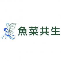 魚菜共生及圖