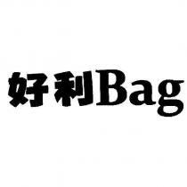 好利 Bag
